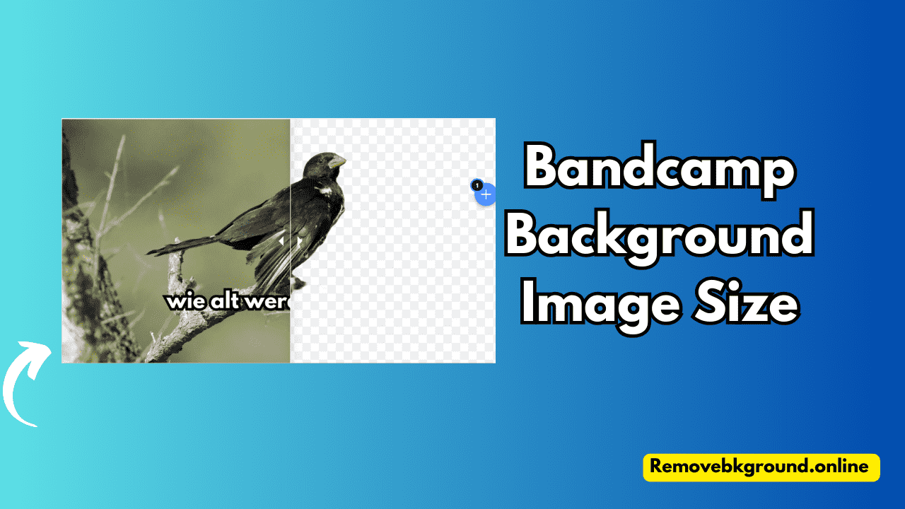 Bandcamp Background Image Size