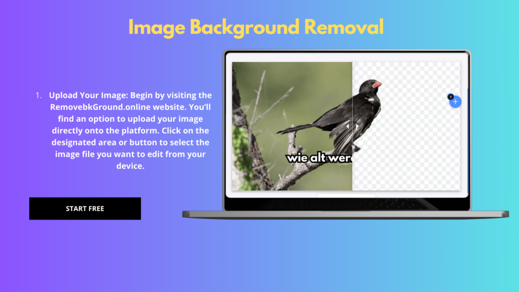 Image Remove Background